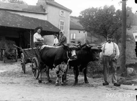 Scène de la vie rurale (Vosges)